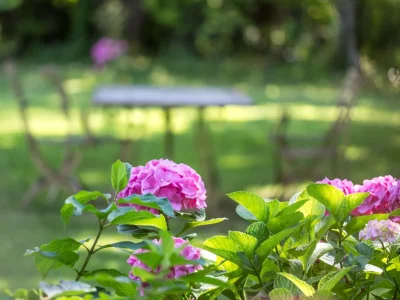 Holiday house Vicinia with garden in the castle - Outdoor photo 19