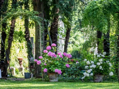 Holiday house Vicinia with garden in the castle - Outdoor photo 20
