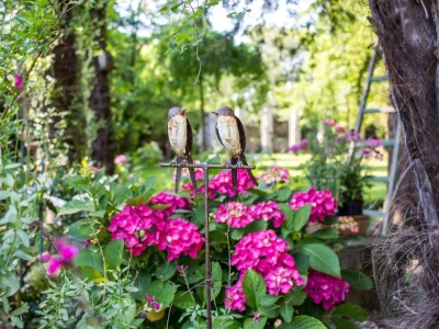 Holiday house Vicinia with garden in the castle - Outdoor photo 21