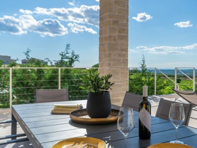 Villa Villa Faloniga - Elegant Villa Faloniga in Vižinada, Istria - Environment photo 31