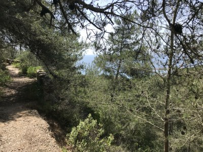 Villa Rent4Rest Sesimbra 4BDR Ocean View And Private Pool Villa - Environment photo 80