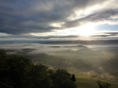 Holiday apartment Azzurro - La Vigna del Parroco - Environment photo 20