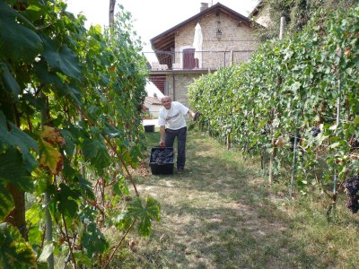 Holiday apartment Azzurro - La Vigna del Parroco - Environment photo 22