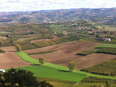 Holiday apartment Azzurro - La Vigna del Parroco - Environment photo 23