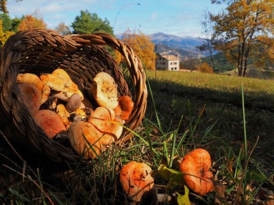 Holiday house Hütte in Vallcebre am See Tumi - Outdoor photo 12