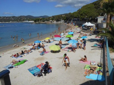 Holiday house Villa Regina with private pool - Environment photo 29