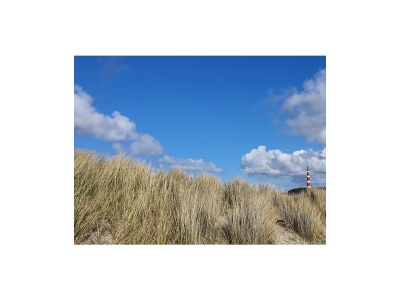 Holiday apartment Waddenzicht 71 Buren - Environment photo 15