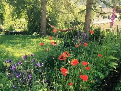 Holiday apartment Stiefel - Outdoor photo 7