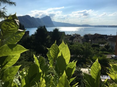 Holiday apartment Stiefel - Outdoor photo 8