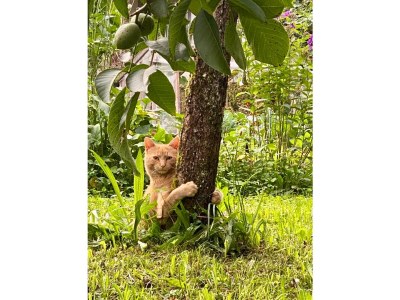 Holiday apartment Stiefel - Outdoor photo 9