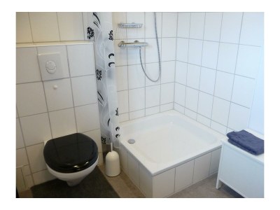 Apartment Gartenblick: 8-Bettwohnung - Features photo 66