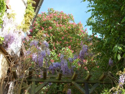Apartment Ferienhaus, 3 Schlafräume, Dusche und Bad WC - Outdoor photo 12