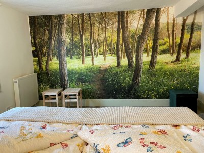 Apartment 2 Schlafzi-Fehaus, Du, WC, Parkplatz - Outdoor photo 4