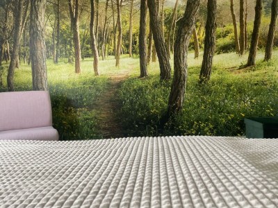 Apartment 2 Schlafzi-Fehaus, Du, WC, Parkplatz - Outdoor photo 34