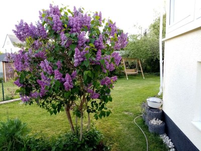 Apartment Doppelzi Appartmen, Du/Wanne/ WC, 1 Schlafr - Outdoor photo 6