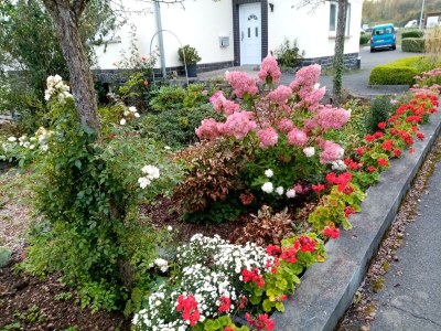 Apartment Doppelzi Appartmen, Du/Wanne/ WC, 1 Schlafr - Outdoor photo 7