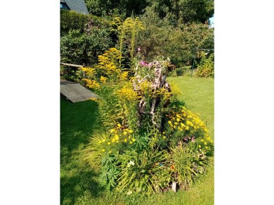 Apartment Doppelzi Appartmen, Du/Wanne/ WC, 1 Schlafr - Outdoor photo 8