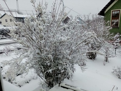 Apartment Doppelzi Appartmen, Du/Wanne/ WC, 1 Schlafr - Outdoor photo 9