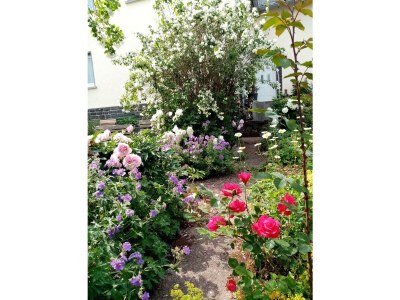 Apartment Doppelzi Appartmen, Du/Wanne/ WC, 1 Schlafr - Outdoor photo 10