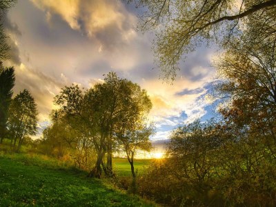 Apartment Appartement/Fewo, Dusche oder Bad, WC, 2 Schlafräu in Steinefrenz - Apartment