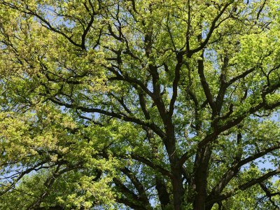 Apartment Appartement/Fewo, Dusche oder Bad, WC, 2 Schlafräu - Outdoor photo 3