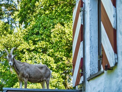 Apartment Appartement/Fewo, Dusche oder Bad, WC, 2 Schlafräu - Outdoor photo 11