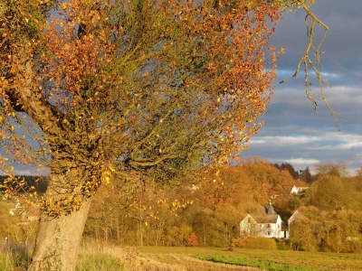 Apartment Appartement/Fewo, Dusche oder Bad, WC, 2 Schlafräu - Outdoor photo 13