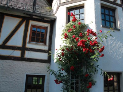 Apartment Appartement/Fewo, Dusche oder Bad, WC, 2 Schlafräu - Outdoor photo 15