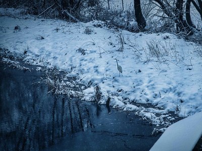 Apartment Appartement/Fewo, Dusche oder Bad, WC, 2 Schlafräu - Outdoor photo 17