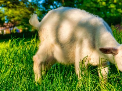 Apartment Appartement/Fewo, Dusche oder Bad, WC, 2 Schlafräu - Outdoor photo 21