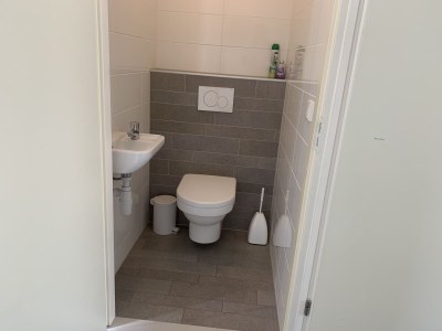 Holiday apartment Dandelion Apartment - Features photo 10