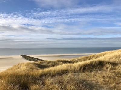 Holiday apartment Dandelion Apartment - Environment photo 16