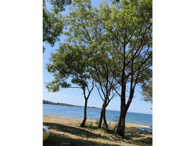 Villa Pietra - Environment photo 39