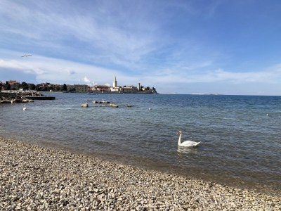 Villa Pietra - Environment photo 40