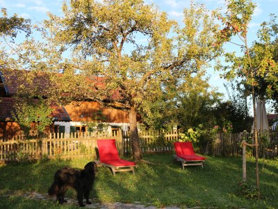 Holiday house Haus zum See - Outdoor photo 6