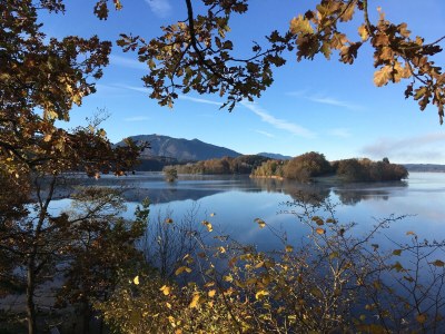 Holiday house Haus zum See - Environment photo 28