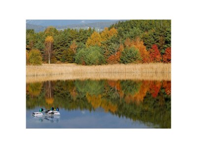 Holiday apartment No title - Environment photo 38