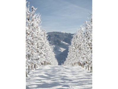 Holiday apartment No title - Environment photo 39