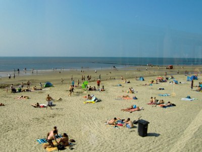 Holiday house Strandslag 213, Julianadorp - Environment photo 31