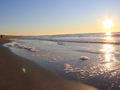 Holiday house Strandslag 213, Julianadorp - Environment photo 32