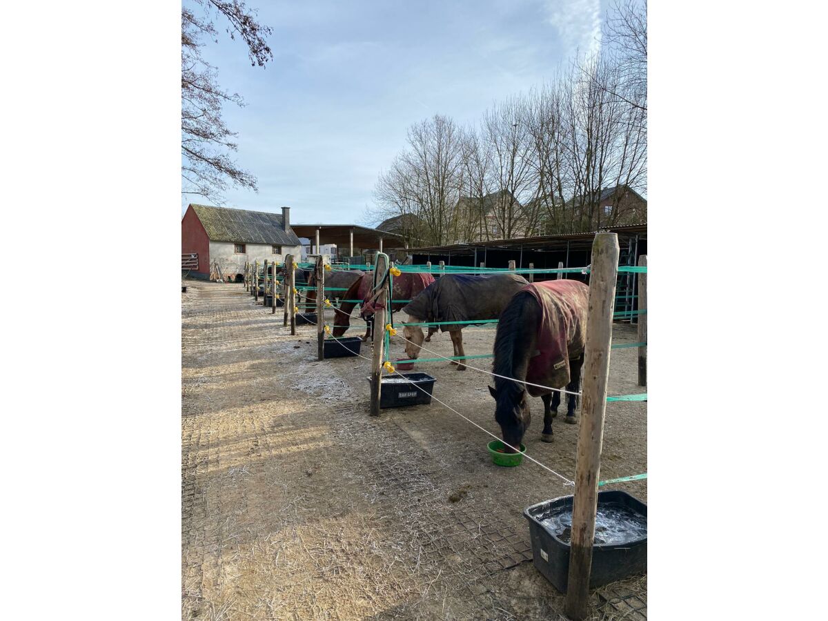 Apartment 2-Bett-Westernwohnung bis 4 Pers. - Outdoor photo 5