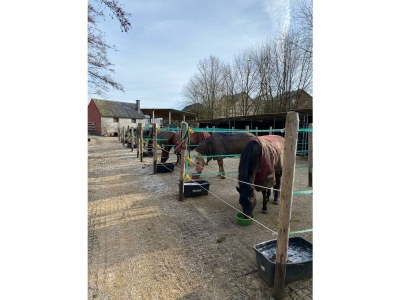 Apartment 2-Bett-Westernwohnung bis 4 Pers. - Outdoor photo 5