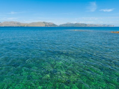 Villa Villa Romana Bonaire - Environment photo 29