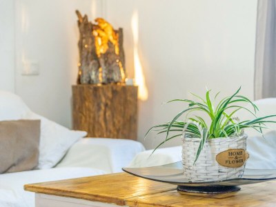 Holiday house Cas Ciutada - Features photo 35