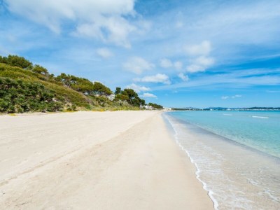 Holiday house Cas Ciutada - Environment photo 57