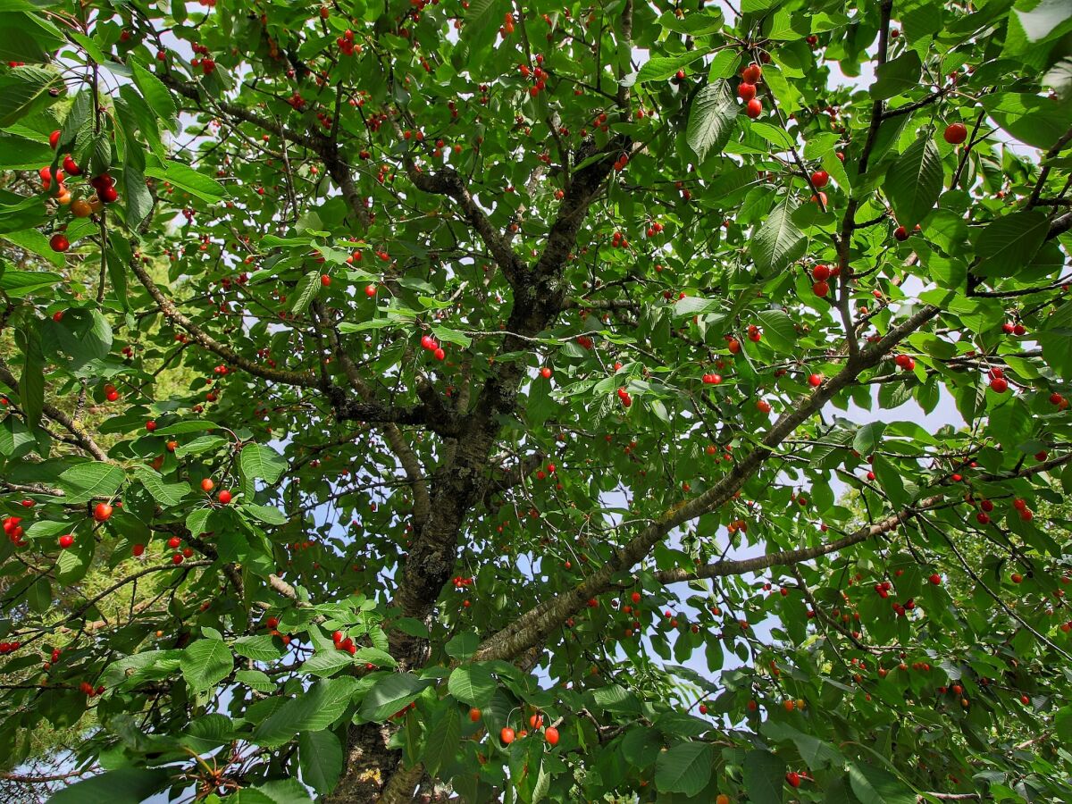 Farmhouse Farmhouse in Umbria near Palazzo Bourbon - Outdoor photo 2