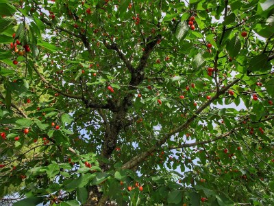 Farmhouse Farmhouse in Umbria near Palazzo Bourbon - Outdoor photo 2