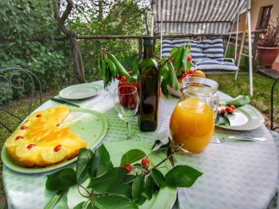 Farmhouse Farmhouse in Umbria near Palazzo Bourbon - Outdoor photo 9