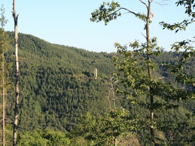 Farmhouse Farmhouse in Umbria near Palazzo Bourbon - Outdoor photo 10