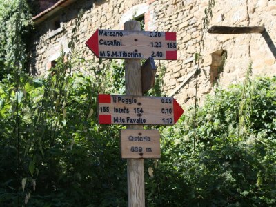 Farmhouse Farmhouse in Umbria near Palazzo Bourbon - Environment photo 36